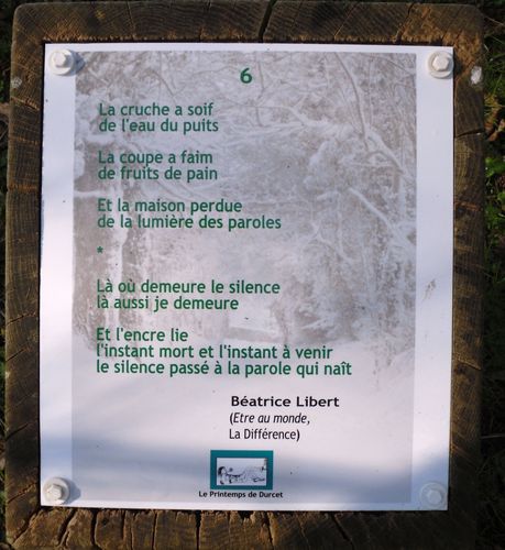 6libert