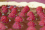 tarte-chocolat-framboises.gif
