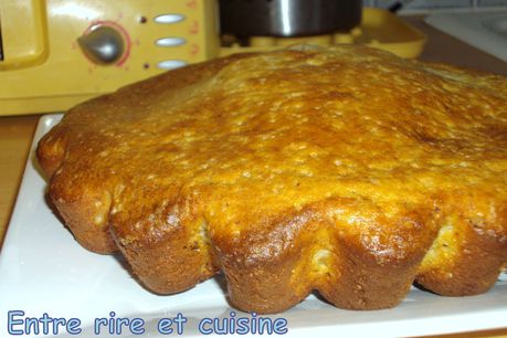Gateau-a-la-ricotta-et-sucre-framboise-001.JPG