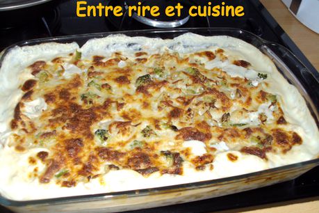 Gratin-de-crozets-et-fleurettes-de-legumes.JPG