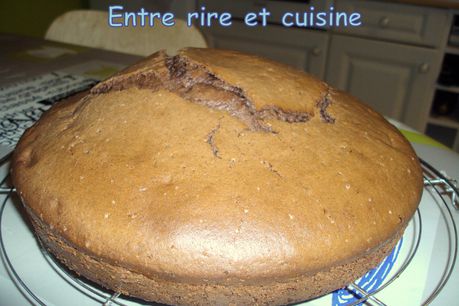 Gateau-creme-fraiche-cacao-myrtille-003.JPG