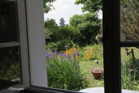 jardin-de-juin 5917