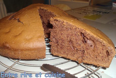 Gateau-creme-fraiche-cacao-myrtille-005.JPG