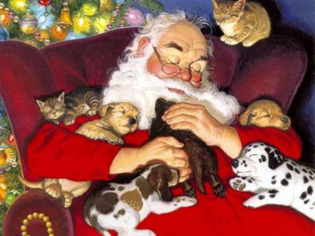 pere noel chiots chatons