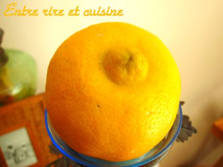 DSCN6598.JPG