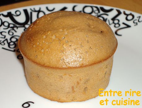 Muffins-choco-rhum-raisins.JPG