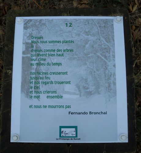 12bronchal