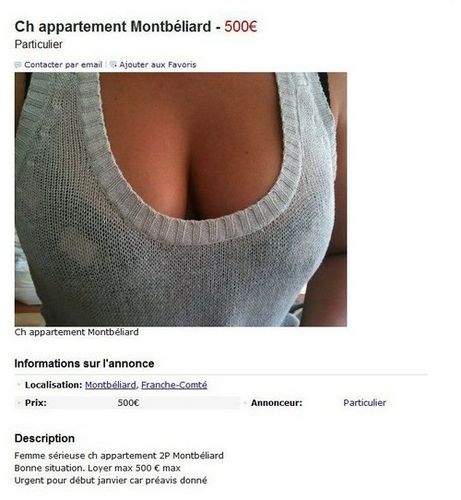 cherche3