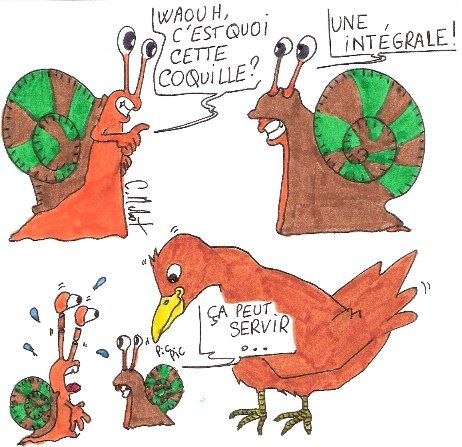 Poule Humour