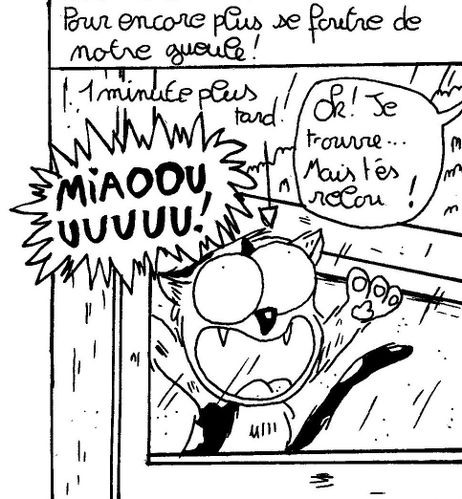 chats3.jpg