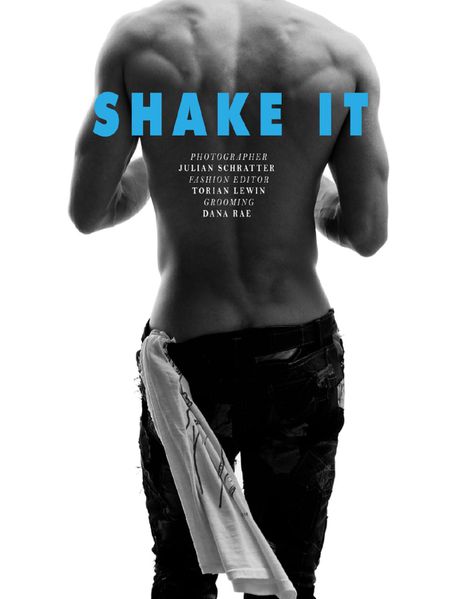 shakeit1.jpg