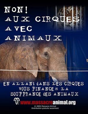 cirque-animaux.jpg