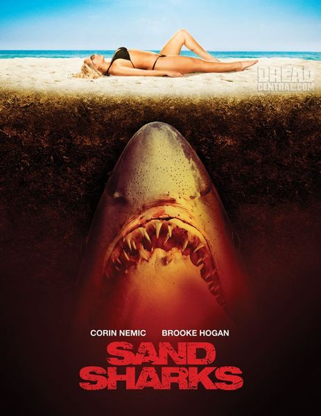 Sand-Sharks.jpg