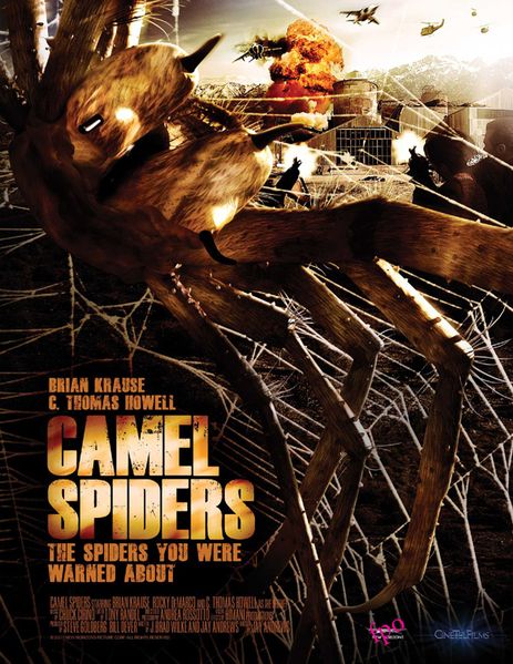 Camel-Spiders.jpg