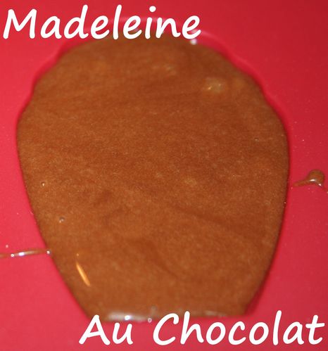 madeleine-au-chocolat1.jpg