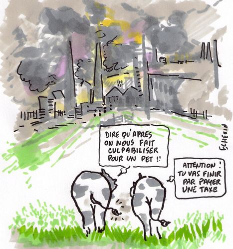 vaches0001.jpg