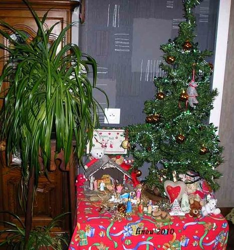 sapin-nozl-.jpg