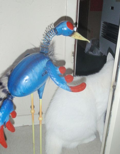 PB080013.JPG