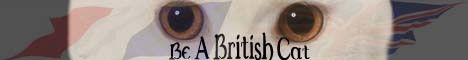 Bannière du Be a British Cat