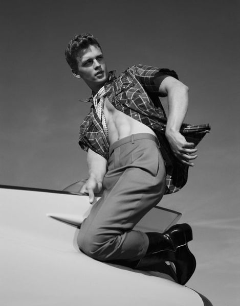 Fantastic-WillyV-Homotography-1.jpg