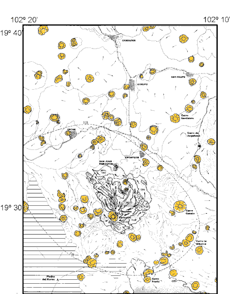 le-Champ-volcanique-Michoacan.gif