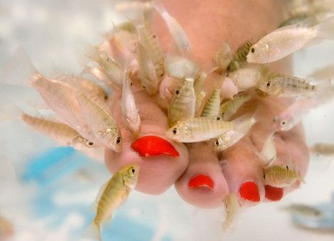 Le psoriasis sur la nuque que traiter