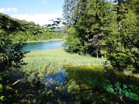 --Lac-2---copie-1.JPG