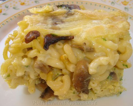 gratin d'omelette aux coquillettes1