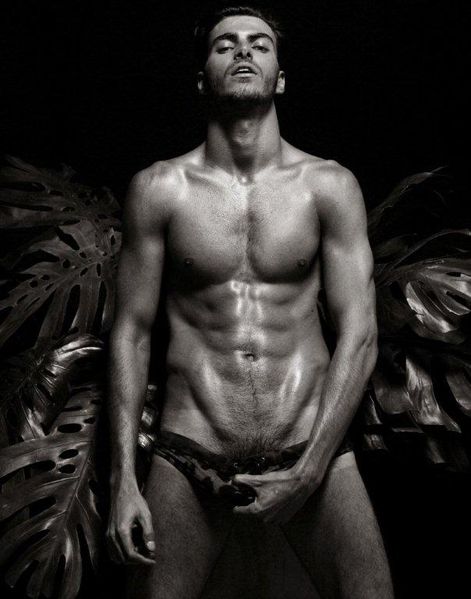 Gui-Homotography-Montani-1-copie-1.jpg