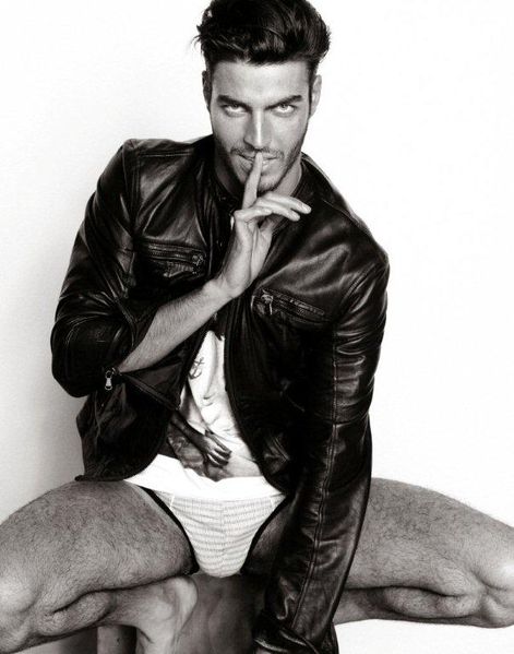 Gui-Homotography-Montani-3.jpg