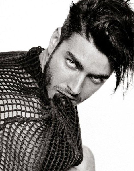 Gui-Homotography-Montani-6.jpg