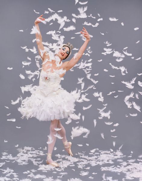 dying swan trockadero-copie-1