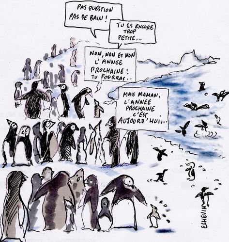 bains des givrés