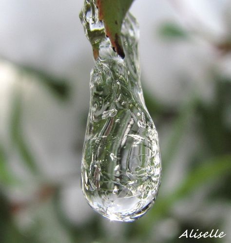 Goutte glacée 2010 # 10