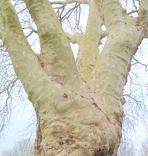 10-03-12-004.jpg