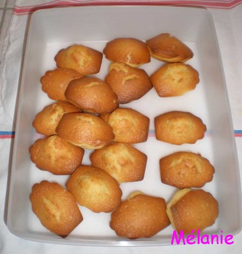 madeleine.jpg
