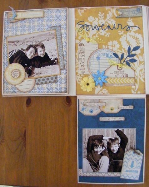 DSCF5729--Copier-.JPG