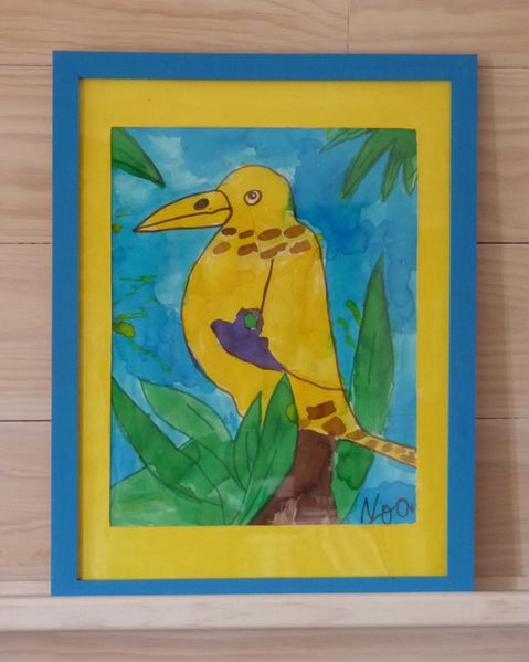 oiseau Noa