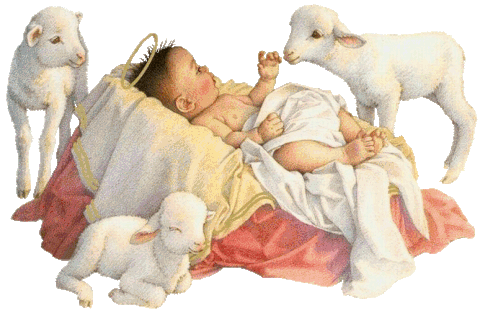 6/Vrai Dieu et vrai homme/ Nativite-Agneaux-BBJC