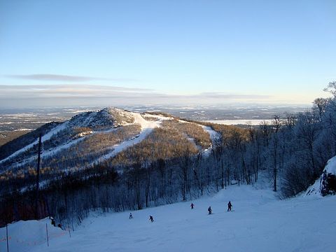 Photo 031