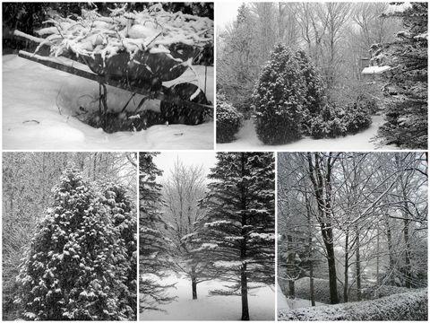 Hiver2009-20104