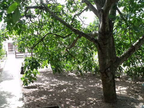 maison-022.JPG