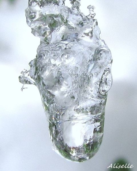 Goutte glacée 2010 #6