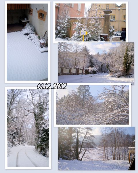 decemb-20122-sous-la-neige.jpg