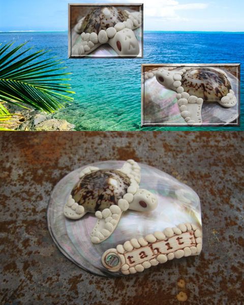 Tortue Tahiti2