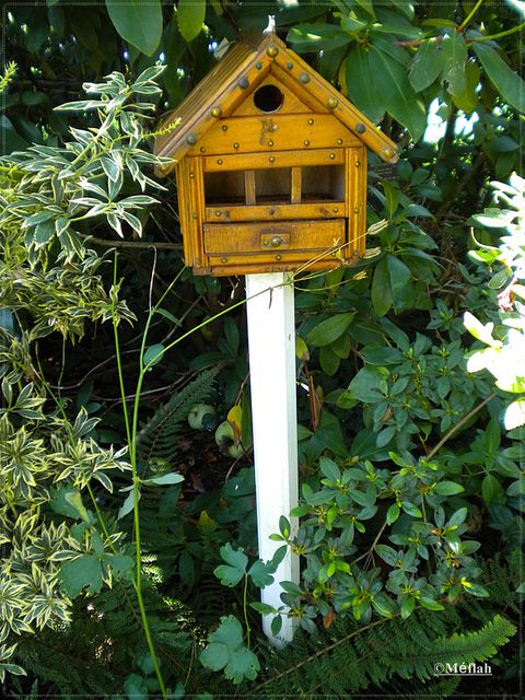 19 octobre 2011 Le jardin insolite photo 9