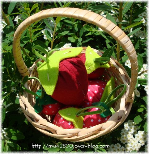 fraises1a