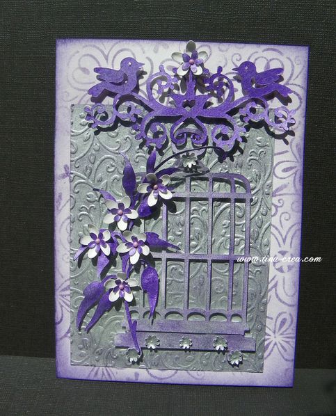 201106cageoiseau