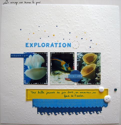 Aquarium-009.jpg