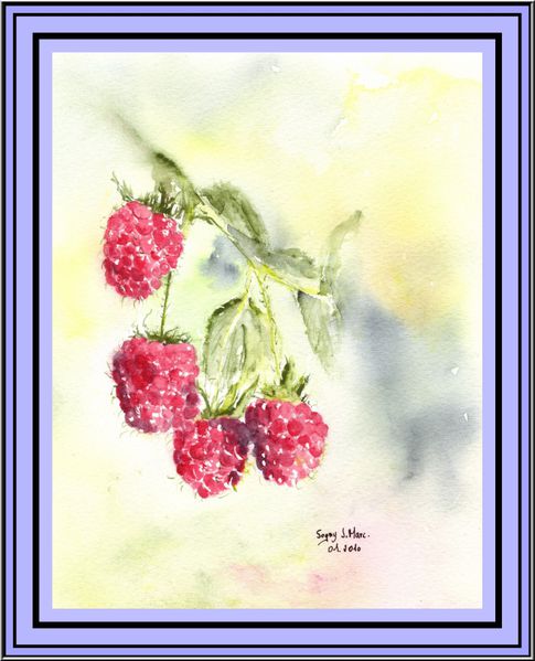 Aquarelle-Framboises-du-jardin-31-Janvier-2010.jpg